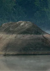 Poster de Stones Have Laws