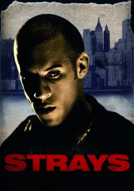 Poster Strays