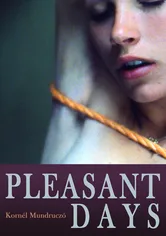 Poster de Szép napok