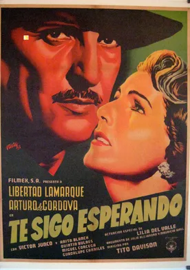 Poster de Te sigo esperando