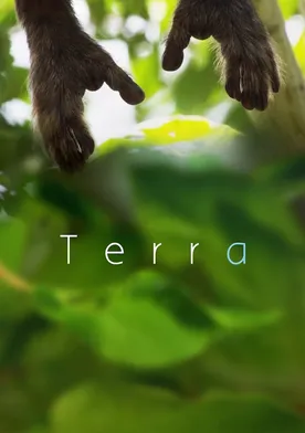Poster de Terra