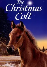 Poster de The Christmas Colt