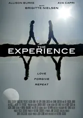 Poster de The Experience