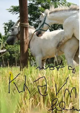 Poster de The Muzzled Horse of an Engineer in Search of Mechanical Saddles