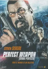 Poster de The Perfect Weapon