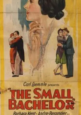 Poster de The Small Bachelor