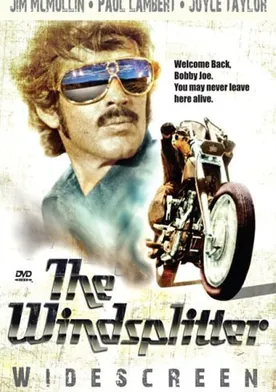 Poster de The Windsplitter