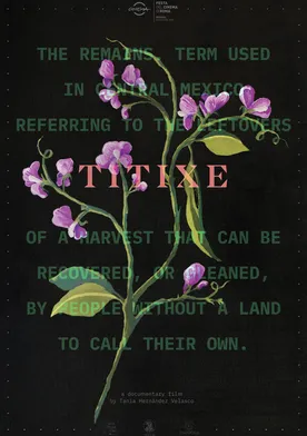 Poster de Titixe