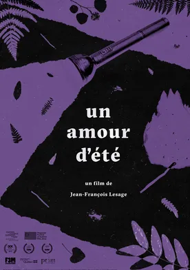 Poster de Un amour d'été