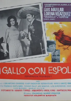 Poster de Un gallo con espolones