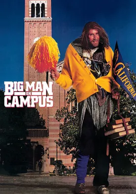 Poster de Una gran promesa