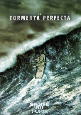 Poster de Una tormenta perfecta