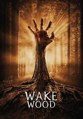 Poster de Wake Wood