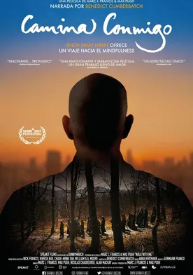 Poster de Walk with Me