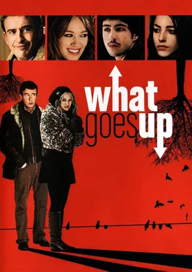 Poster What Goes Up