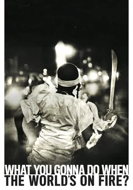 Poster de What You Gonna Do When the World's on Fire?
