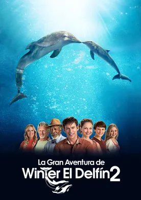 Poster Winter - El delfín 2