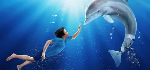 Winter - El delfín Trailer