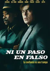 Poster de Ni un paso en falso