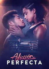 Poster de Perfect Addiction