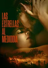 Poster de Stars at Noon