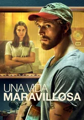 Poster de Una vida maravillosa