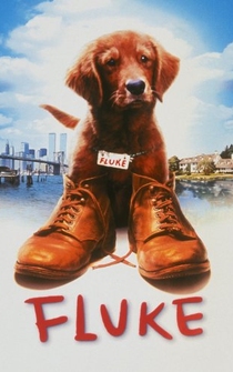 Poster de Fluke, memorias de otra vida
