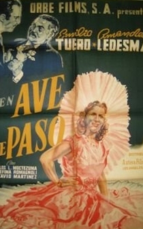 Poster de Ave de paso
