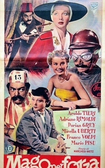 Poster de Il mago per forza