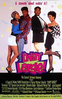 Poster de Reportero por los pelos