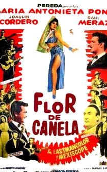 Poster de Flor de canela