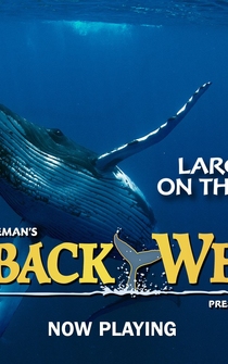 Poster de Humpback Whales