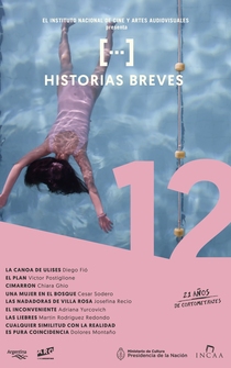 Poster de Historias breves 12