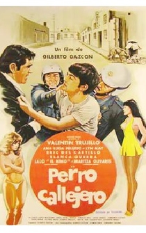 Poster de Perro callejero