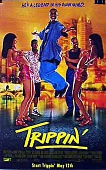 Poster de Trippin'