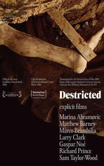 Poster de Destricted