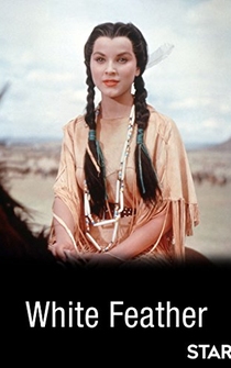 Poster de La ley del bravo