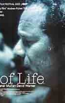 Poster de Kiss of Life