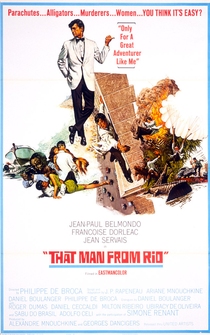 Poster de El hombre de Río