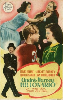 Poster de Andrés Harvey millonario