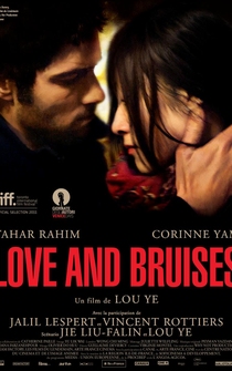 Poster de Love and Bruises