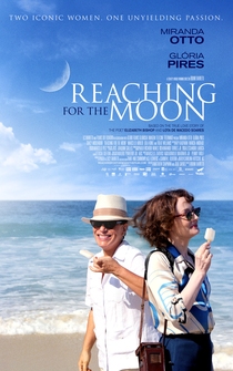 Poster de Tocando la luna