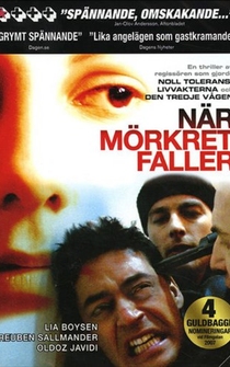 Poster de When Darkness Falls