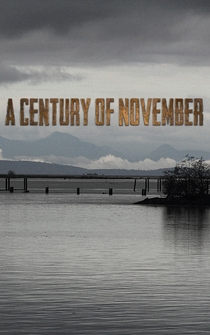 Poster de A Century of November