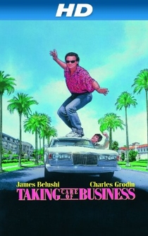 Poster de Millonario al instante