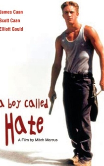 Poster de A Boy Called Hate