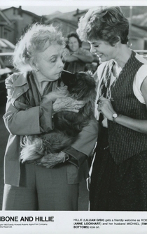 Poster de Las aventuras de Hambone