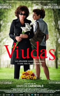 Poster de Widows