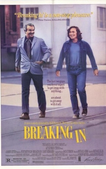 Poster de Un ladrón y medio