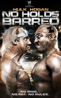 Poster de Pelea sin límites